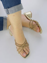 Alba Gold Sandals (11052) - Spunkz