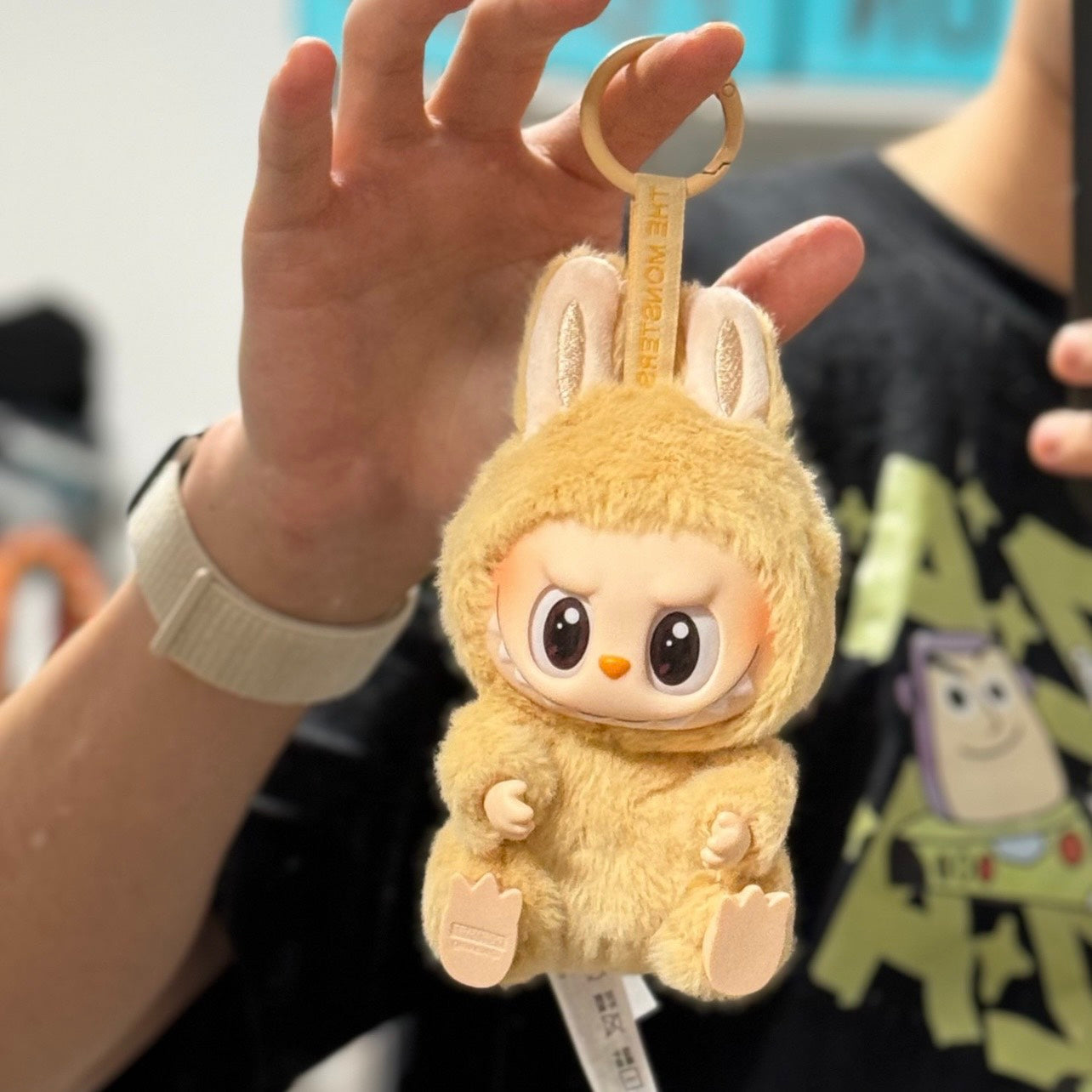 Original Popmart Labubu