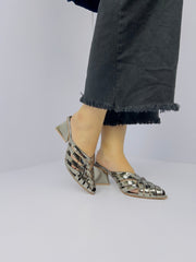 Alfie Grey (11051) - Spunkz